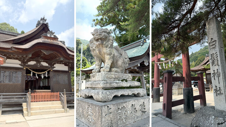 【初心者歓迎】稼げる！雄琴温泉ソープ求人まとめ｜出稼ぎOK！高収入の優良店ご紹介