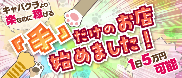 2980円（にゃんきゅっぱ）