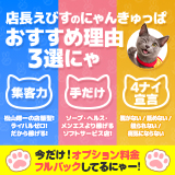 2980円（にゃんきゅっぱ）