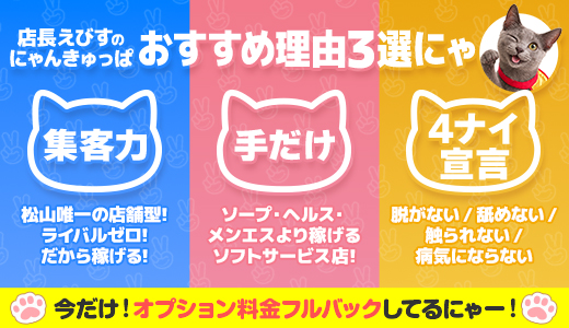 2980円（にゃんきゅっぱ）