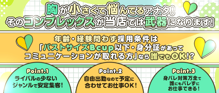 The 貧乳～人妻専科～