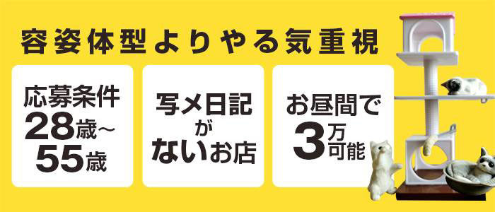 セレブな奥様