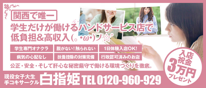 白指姫
