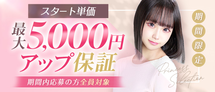 プリンセスセレクション谷九日本橋店