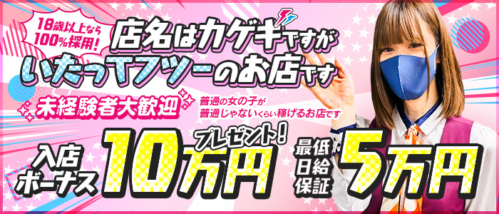奴隷コレクション