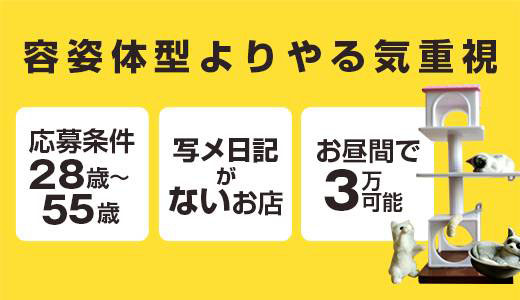 セレブな奥様