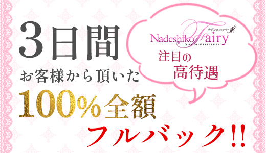 大和ナデシコ～フェアリー～
