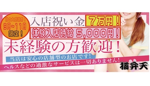猫弁天