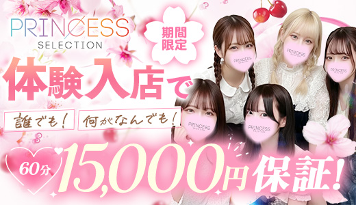 プリンセスセレクション谷九日本橋店