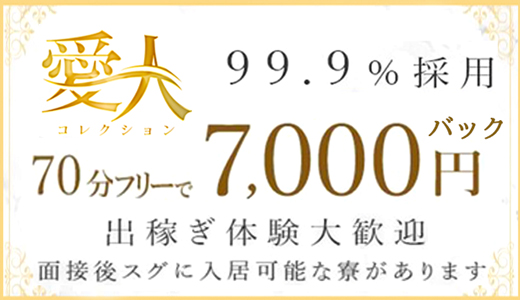 愛人コレクション