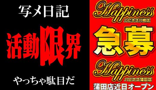 ハピネス～Happiness～