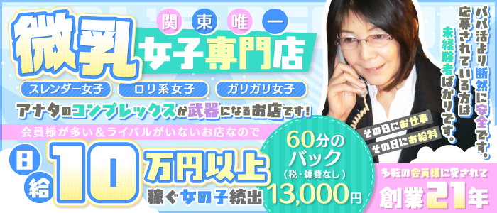 貧乳パラダイス