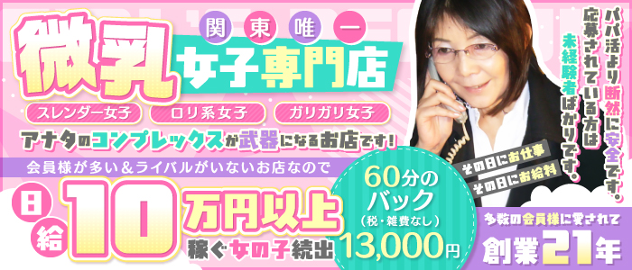 貧乳パラダイス