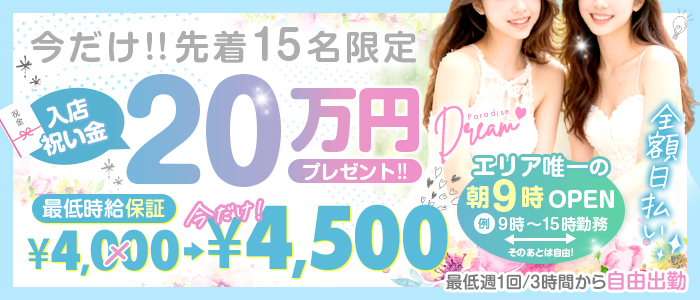 ドリームパラダイス