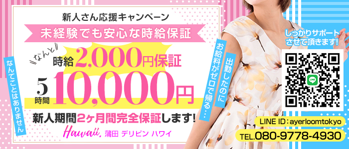 デリピン ハワイ