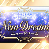 ニュードリーム