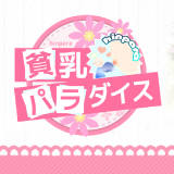 貧乳パラダイス