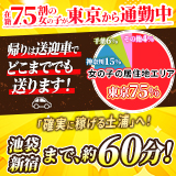 土浦ハッピーマットパラダイス