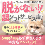 Cawaiiハイ！スクールリターンズ秋葉原校
