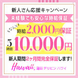 デリピン　ハワイ