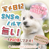 赤坂美療