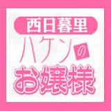 ハケンのお嬢様