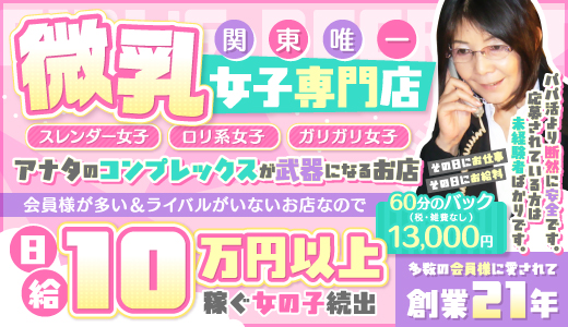 貧乳パラダイス