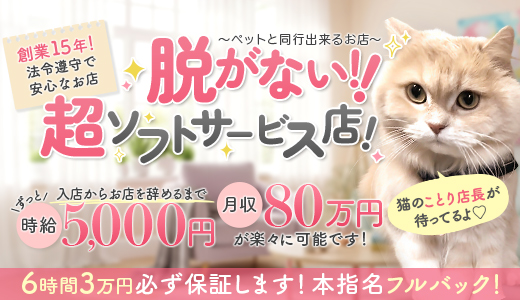 Cawaiiハイ！スクールリターンズ秋葉原校