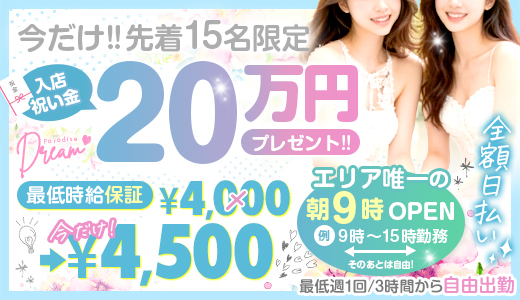 ドリームパラダイス