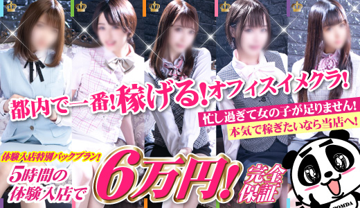 初心者専門ソフトイメクラ「新入社員」
