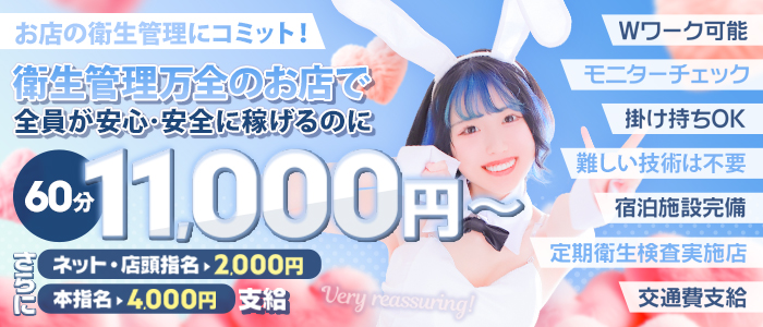 バニーコレクション新潟