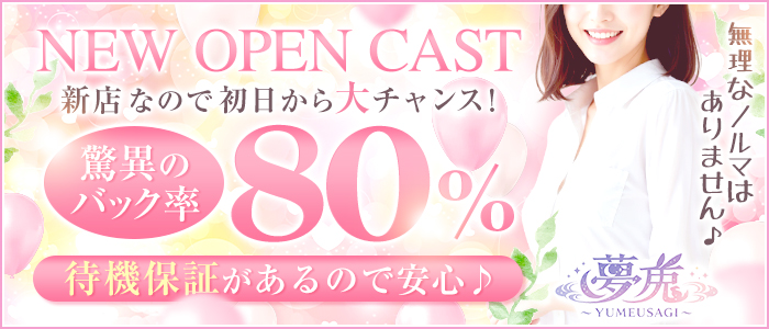 夢兎～YUMEUSAGI～