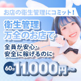 バニーコレクション新潟