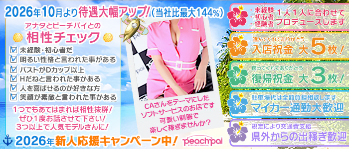 ピーチパイ