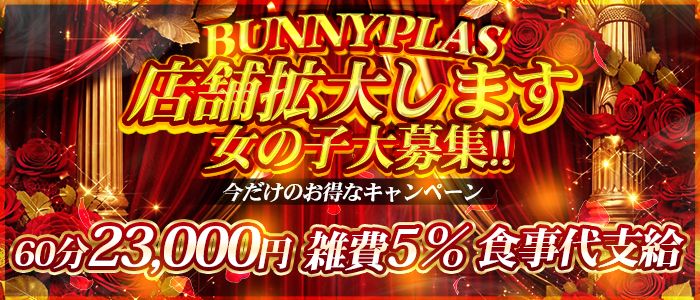 BUNNY PLAS