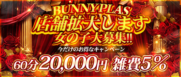 BUNNY PLAS