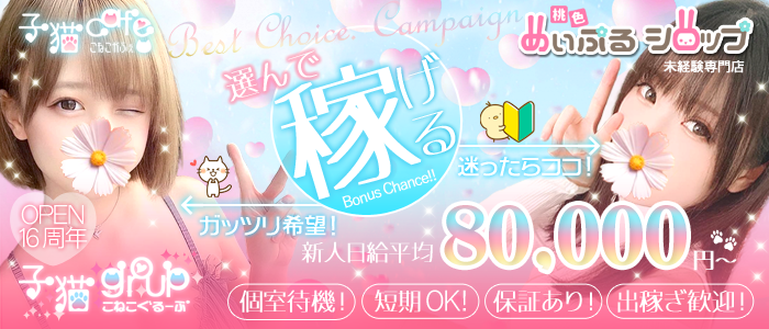 子猫グループ