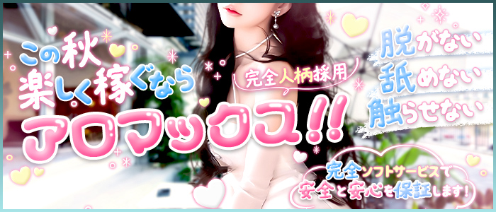 アロマックス2012