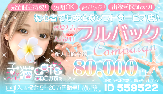 子猫カフェ