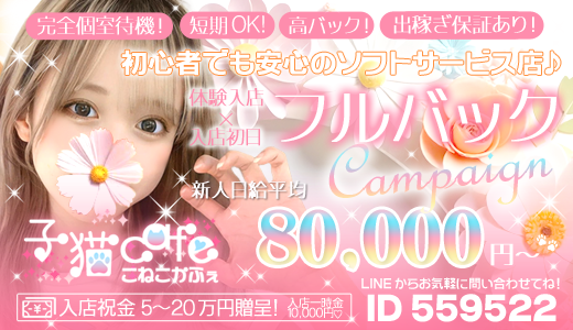 子猫カフェ