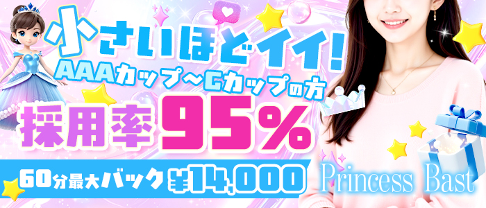 貧乳・微乳専門店プリンセスバスト