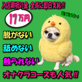 デリヘル選びは　delivago