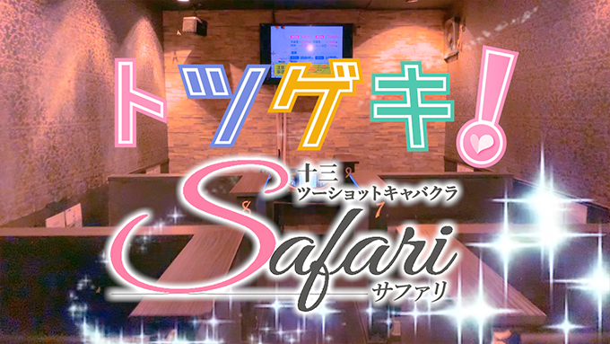 Night Park Safari
