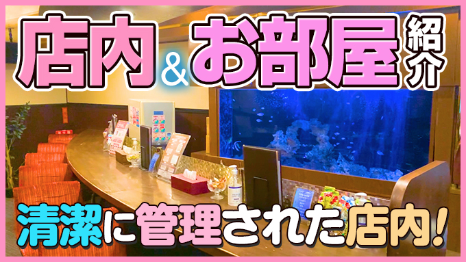 エルミタージュ