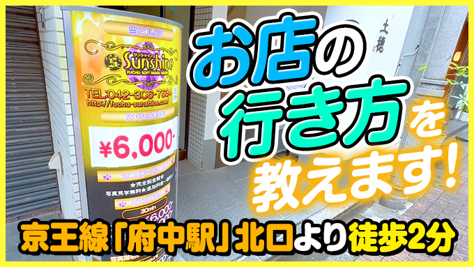 サンシャイン