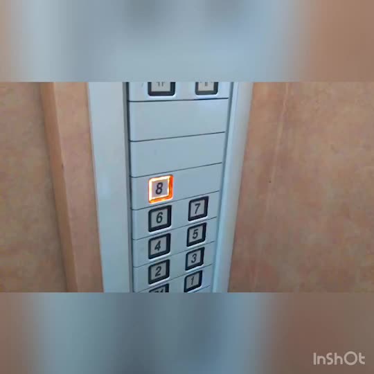 Mの世界