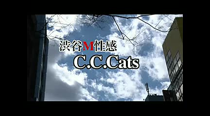 CCキャッツ