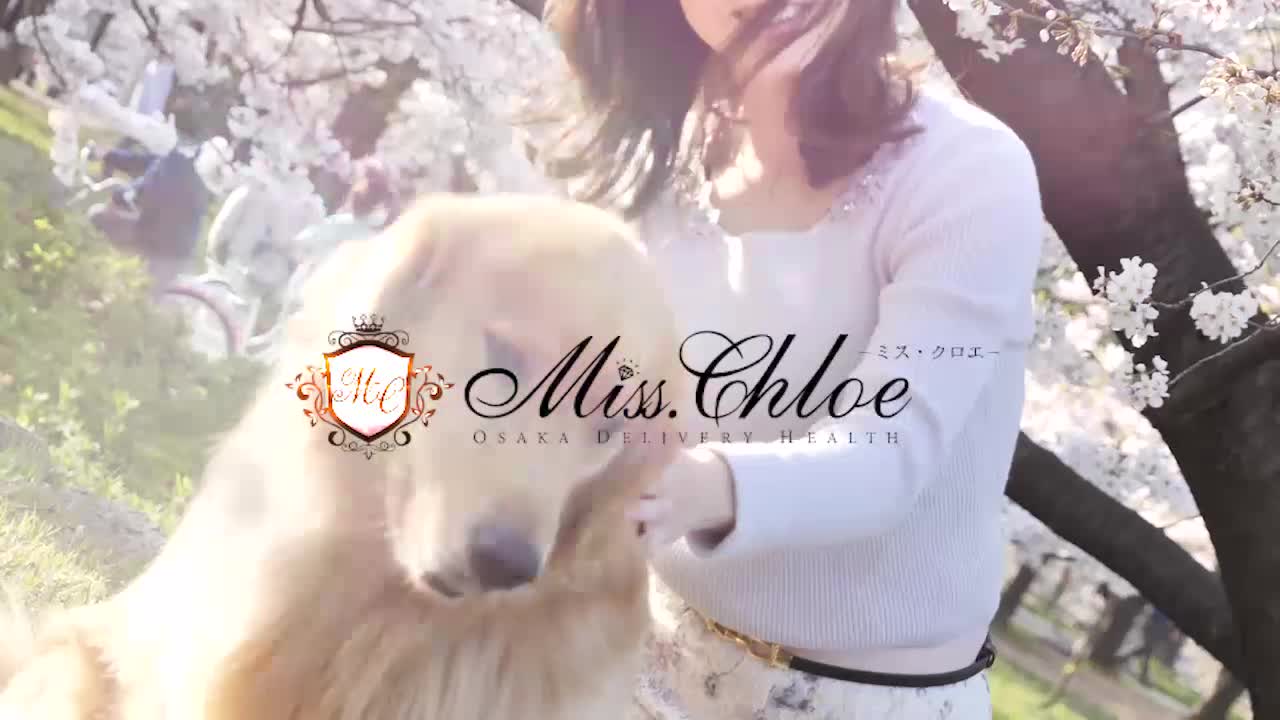 Miss.Chloe（ミス・クロエ）