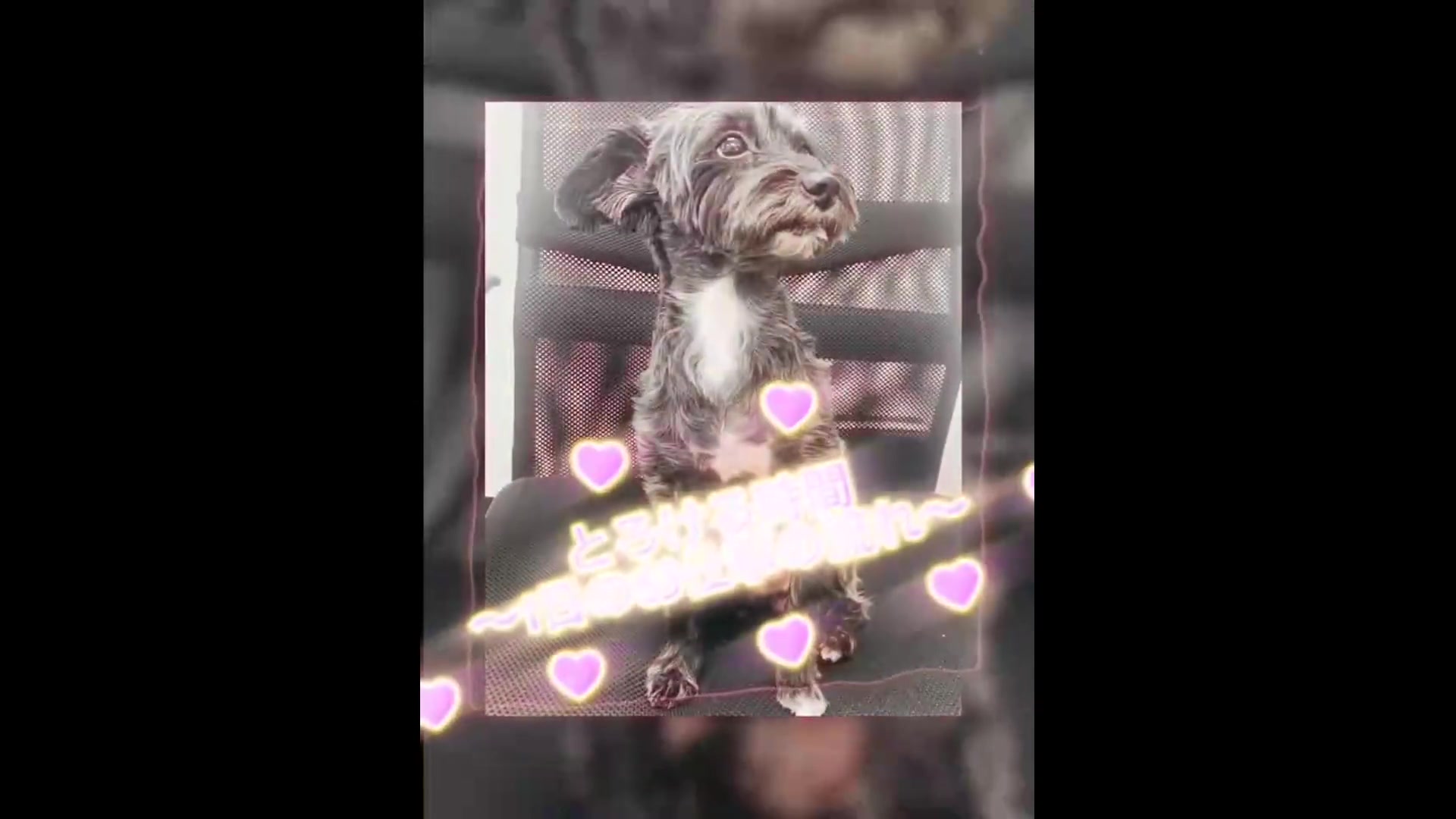 とろける時間～脳バク♡エステ～