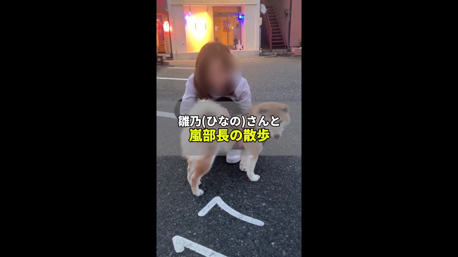 乙姫宴